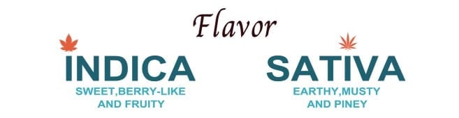 medical marijuana clinic pueblo