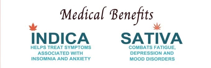 best medical marijuana