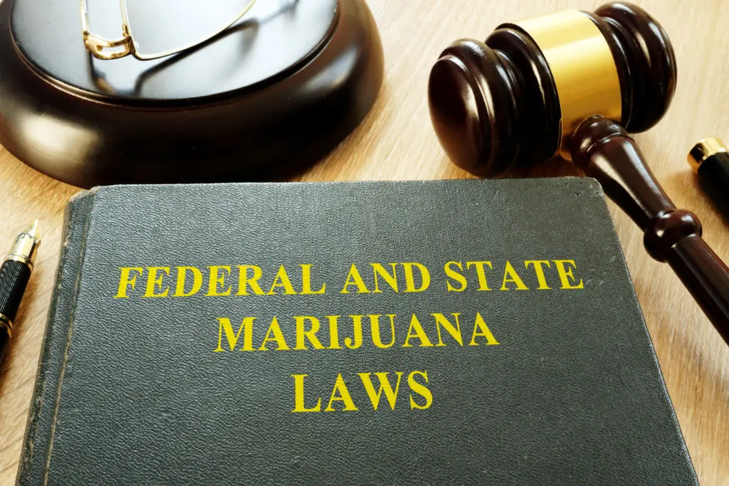Federal,And,State,Marijuana,Laws,And,Gavel,In,A,Court.