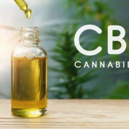 what is cbd oil used for