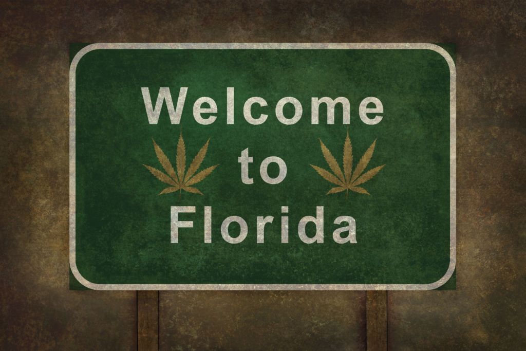 how do I get medical marijuanas card renewal in florida?