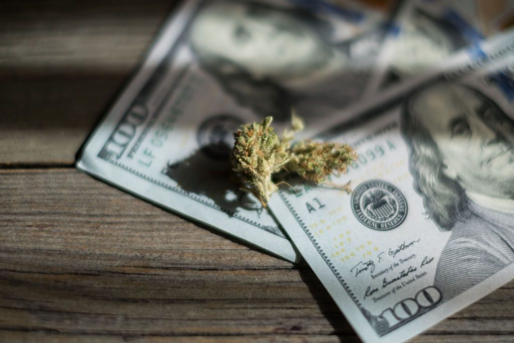 Florida Medical Marijuanas Card Renewal How to Do It? DrNatMed Blog