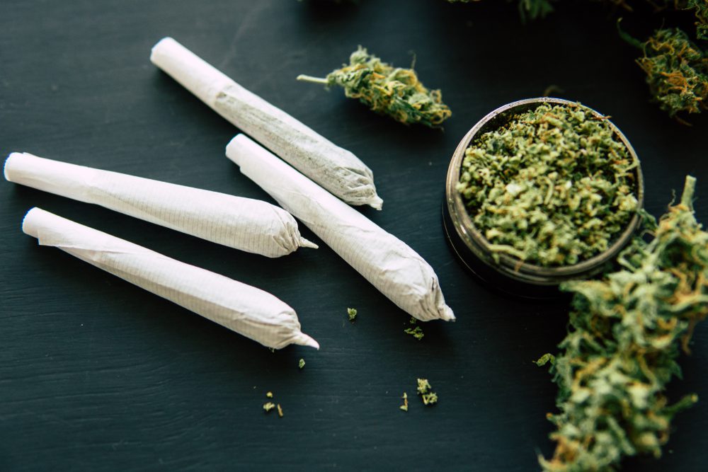 Macro,Of,Marijuana,Joint,With,Trichomes,And,Crushed,Weed,In